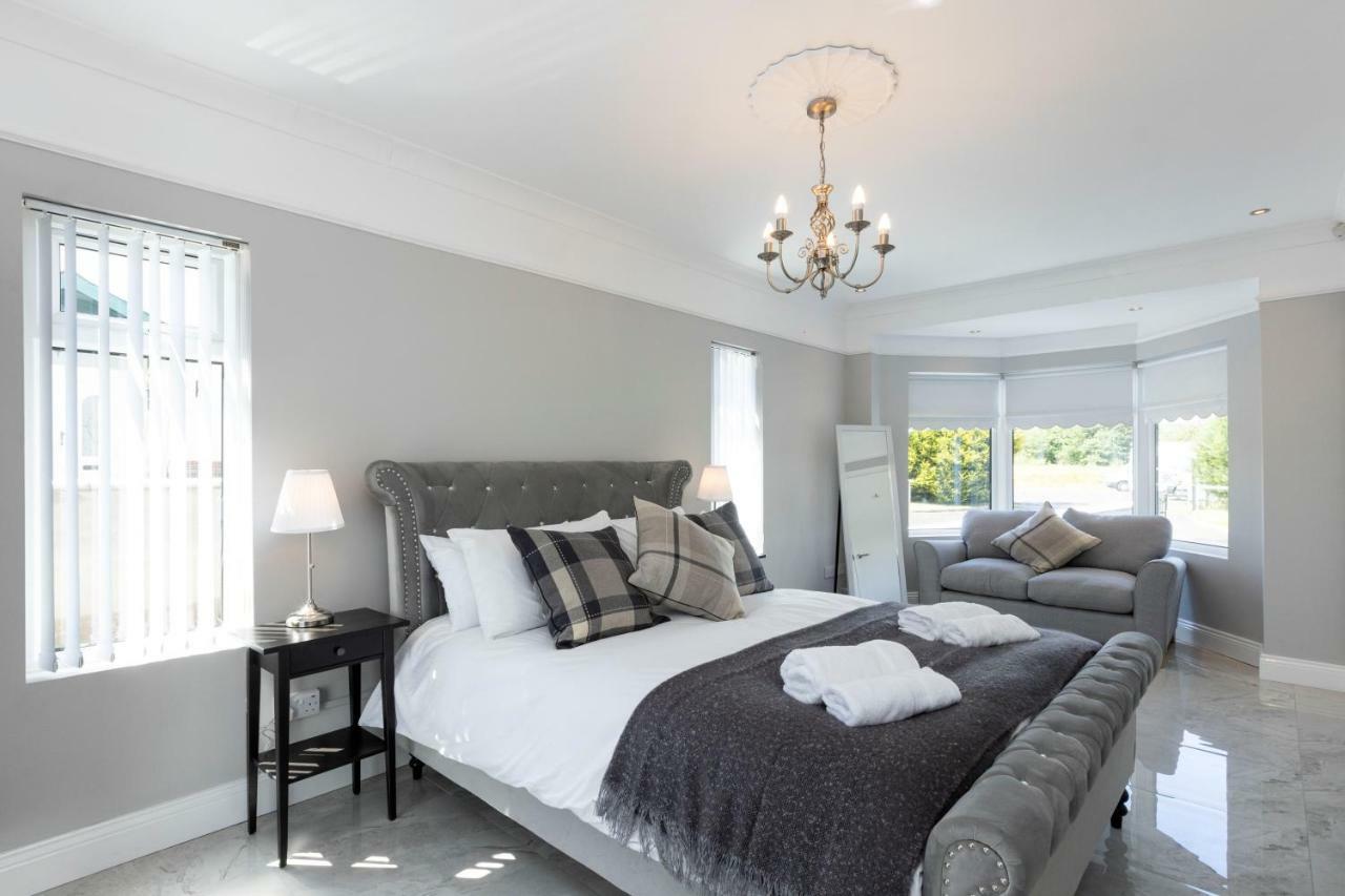 Chestnut House, Beautiful, spacious&comfortable Belfast Extérieur photo